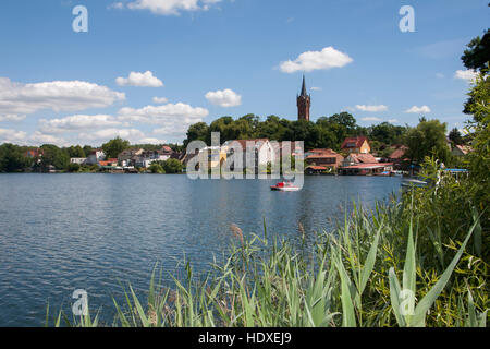 Feldberger haussee, Feldberg, seenlandschaft, plaque de lac mecklembourgeoise district, mecklenburg-vorpommern, Allemagne Banque D'Images