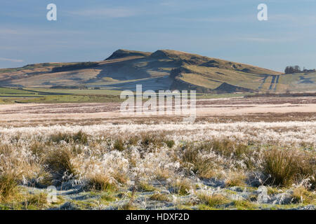 Les graminées, Cawfield moor dépoli et rochers escarpés d'Essuie, mur d'Hadrien - vu à partir de la tourbe de l'acier, près de Lowtown et ferme Walltown Banque D'Images