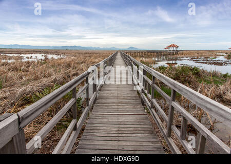 Pont en bois s'étend à travers les prairies sèches et les inondations à Khao Sam Roi Yot National Park, Thaïlande Banque D'Images