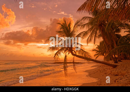 Coucher du soleil à Dover Beach, St Lawrence Gap, Côte Sud, Barbade, Caraïbes. Banque D'Images