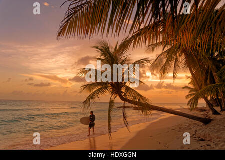 Surfer et coucher du soleil à Dover Beach, St Lawrence Gap, Côte Sud, Barbade, Caraïbes. Banque D'Images