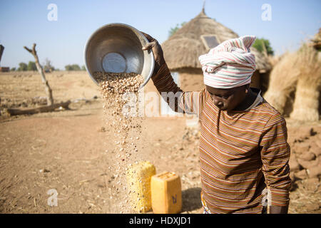 La vie rurale dans un village du Burkina Faso, Gourmatche Banque D'Images