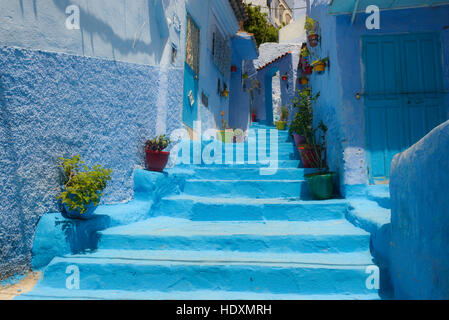 Rues et ruelles de la Médina de Chefchaouen, Maroc Banque D'Images