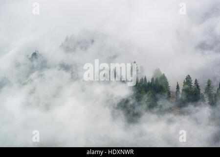 Brouillard dans le Parc National Hohe Tauern, Autriche Banque D'Images