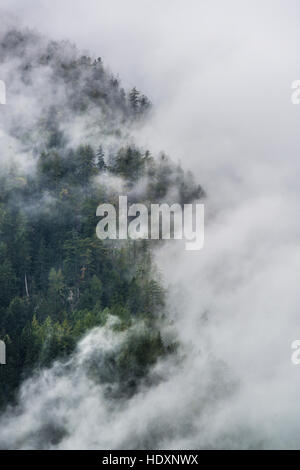 Brouillard dans le Parc National Hohe Tauern, Autriche Banque D'Images