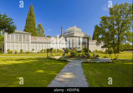 Dans la grande serre du parc de montagne Wilhelmshöhe, Kassel, Hesse, Allemagne Banque D'Images