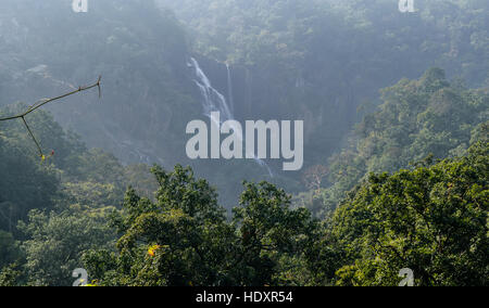 L'Lodh Falls (aussi connu comme Burhaghat Falls) est une chute dans un milieu de forêt de Latehar district de Palamu , en Inde. Banque D'Images