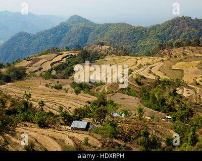 Les champs en terrasses sur un village sur le Kumaon Hills vu de la route Kaladunghi-Naini Tal, Uttarakhand, Inde Banque D'Images