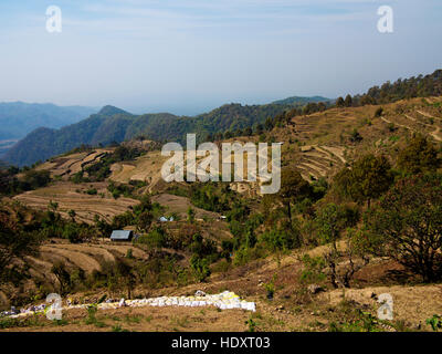 Les champs en terrasses sur un village sur le Kumaon Hills vu de la route Kaladunghi-Naini Tal, Uttarakhand, Inde Banque D'Images