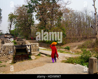 Indian woman walking in Corbett jungle et de verrats Canal à Haldwani, Kaladunghi Chotti, Uttarakhand, Inde Banque D'Images