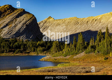 Le soleil du soir met en évidence les herbes près de Baker Lake dans la région sauvage de Skoki Banff National Park Alberta Canada. Banque D'Images