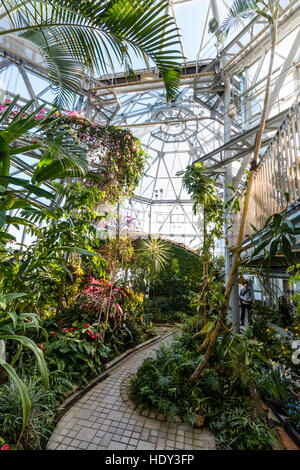 Intérieur de l'Nunobiki herb garden serre, montagnes Rokko à Kobe, au Japon. Vue le long chemin à travers les arbustes et les arbres. Banque D'Images