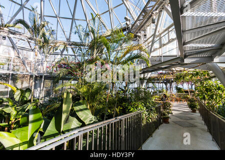 Intérieur de l'Nunobiki herb garden serre, montagnes Rokko à Kobe, au Japon. Vue le long chemin à travers les arbustes et les arbres. Banque D'Images