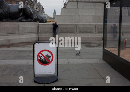 Les enfants ne pas tenir compte d'une escalade d'aucun signe, de transporter sur eux-mêmes pour le soubassement de la Colonne Nelson, le 15 décembre 2016, à Trafalgar Square, Londres, Angleterre. Banque D'Images