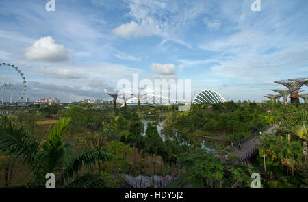 Vue sur 'Gardens by the Bay' depuis Marina Sands, Singapour, 2014 Banque D'Images