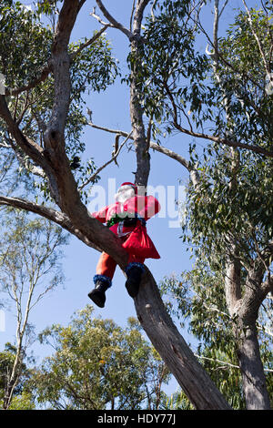 Père Noël gonflable jusqu'à un arbre pour célébrer Noël dans la brousse, de l'Australie Banque D'Images