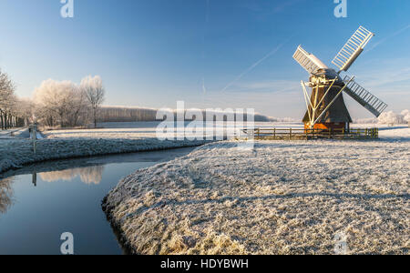 Paysage d'hiver avec l'agneau blanc Moulin près de Zuidwolde dans la province de Groningue, Pays-Bas Banque D'Images