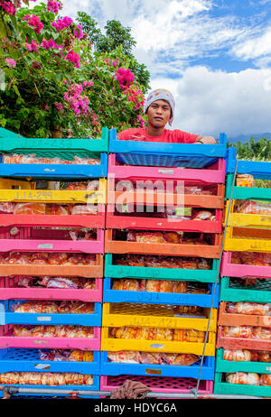 Livraison de pain en plastique colorés empilés des boîtes sur une moto side-car à Ma'ao, l'île de Negros Occidental, aux Philippines. Banque D'Images