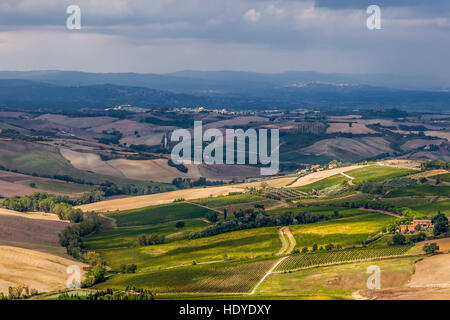 Paysage de la Val d'Orcia. Banque D'Images