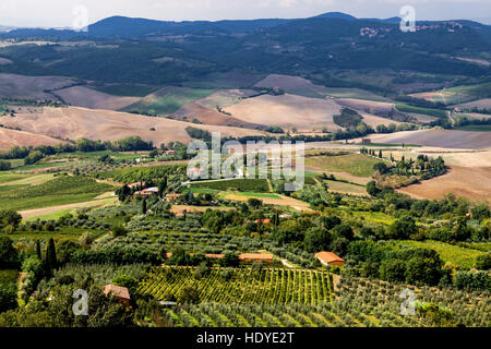 Paysage de la Val d'Orcia. Banque D'Images