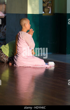 Nun praying at Shwedagon pagoda, Yangon, Myanmar Banque D'Images