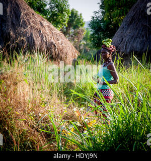 Femme africaine transportant des bananes sur la tête. L'équilibre intérieur aide à se déplacer avec élégance, également lors de la marche dans le jardin Banque D'Images