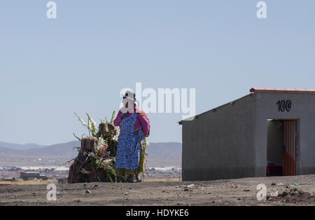 Les femmes en vêtements traditionnels des autochtones à un site sacré près de La Paz, Bolivie, se tient à côté d'un géant mesa, le rituel offrande à Dieu Banque D'Images