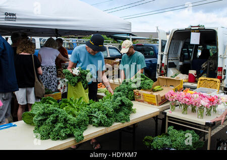 Farmers Market, Kilauea Kauai, Hawaï. Banque D'Images