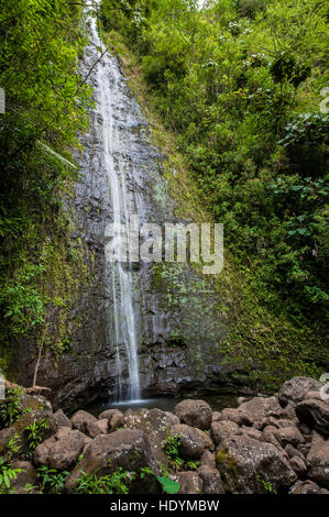 Manoa Falls, Honolulu, Oahu, Hawaii. Banque D'Images
