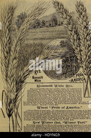 Ce catalogue de 1913 offre une variété de plantes d'automne, bulbes, graines, arbustes et fruits. Il comprend des conseils pratiques de jardinage pour planter et cultiver ces espèces pendant la saison d'automne, en mettant l'accent sur l'amélioration des paysages de jardin. Banque D'Images