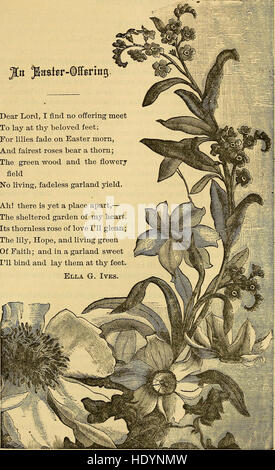 Life and Light for Woman, une publication de 1873, se concentre sur l'autonomisation et l'éducation des femmes, offrant des articles instructifs sur les questions sociales, la santé et le rôle des femmes dans la société. Banque D'Images