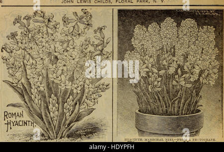 Ce catalogue (1913) offre une variété de bulbes d'automne, de plantes, de graines, d'arbustes et de fruits. Il sert de ressource de jardinage pour ceux qui s'intéressent à la plantation pendant la saison d'automne, fournissant des détails sur les variétés végétales et leur culture. Banque D'Images