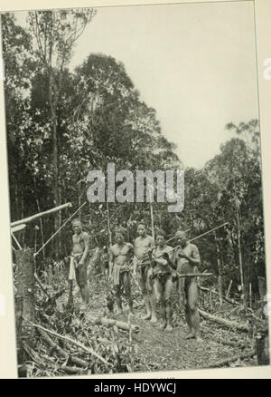 Ce récit détaille les deux années de voyage de l'auteur à travers Bornéo central entre 1913 et 1917, donnant un aperçu des cultures et des pratiques de la région, y compris les traditions de chasse aux têtes. Banque D'Images
