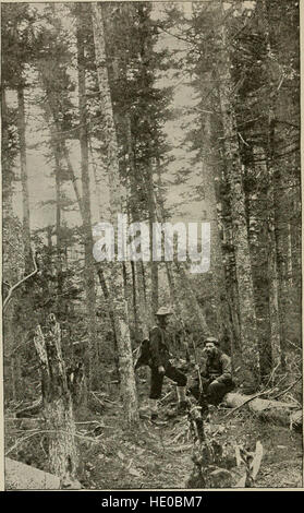 Grâce à la nature ; un dossier de sport et aventure dans les forêts du New Hampshire et du Maine (1892) Banque D'Images