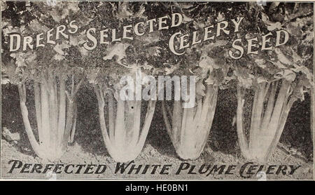 *Dreer's 72nd Annual Edition Garden Book* (1910) est un guide complet pour les jardiniers, présentant les variétés de plantes, les techniques de jardinage et des conseils saisonniers pour une culture efficace et la conception des jardins au début du XXe siècle. Banque D'Images