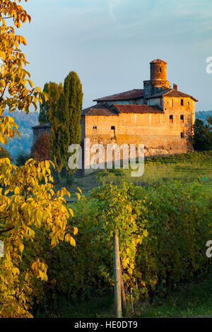 La lumière du soleil sur le paramètre Castello della Volta et vignoble près de Barolo, Piemonte, Italie Banque D'Images