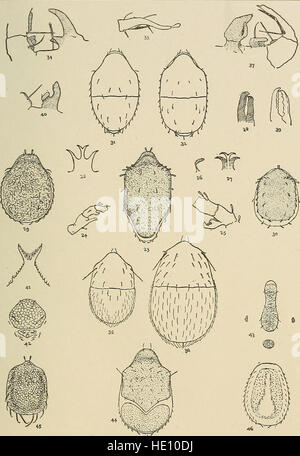 Opérations de la Natural History Society of Northumberland, Durham et Newcastle-upon-Tyne (1918) Banque D'Images