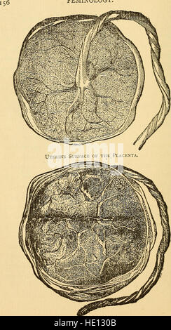 Feminology ; un guide pour womankind, donnant en détail des instructions quant à la maternité, maidenhood, et la pépinière (1902) Banque D'Images