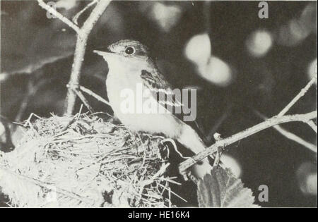 Oiseaux nicheurs de l'Ontario - nidiology et distribution (1983) Banque D'Images