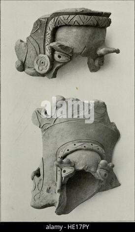 Cette photographie documente les recherches archéologiques menées sur l’île de la Plata, en Équateur, en 1901, mettant en évidence l’exploration de sites historiques et d’artefacts issus de cultures anciennes. Banque D'Images