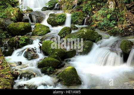 Belle cascade dans le parc national de Shivapuri Nagarjun, Katmandou, Népal Banque D'Images