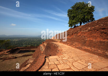 Ruines de l'ancien palais, forteresse de Sigiriya ou rock sur le rocher du Lion, vue du paysage environnant, la Province du Centre, au Sri Lanka Banque D'Images