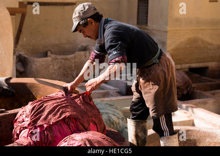 Tanner à l'œuvre dans le traditionnel quartier de tanner de Fès, Maroc Banque D'Images