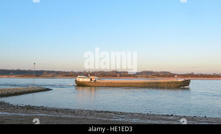 Le transport de fret par bateau à la rivière néerlandais Waal près de Beuningen dans le soleil du soir Banque D'Images