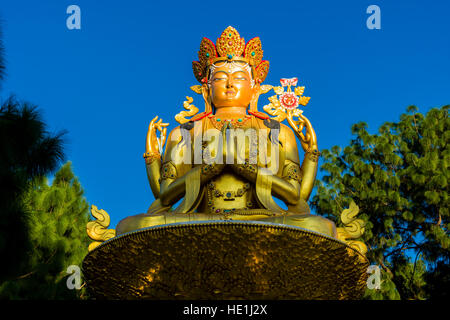 Une grande statue en or de Bouddha Maitreya à l'arrière du Temple de Swayambhunath, monkey temple Banque D'Images