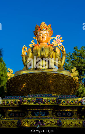 Une grande statue en or de Bouddha Maitreya à l'arrière du Temple de Swayambhunath, monkey temple Banque D'Images