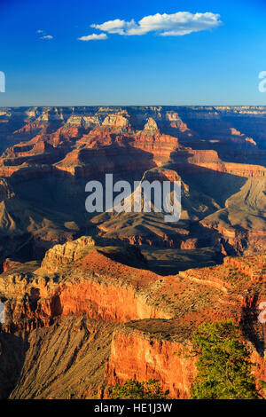 Une fin d'après-midi vue verticale de Mather Point des spectaculaires formations rocheuses dans le Parc National du Grand Canyon, Arizona, USA Banque D'Images