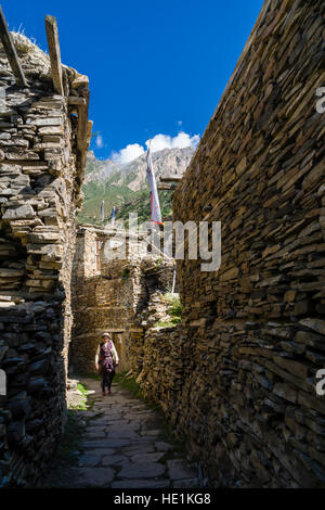 Vieilles maisons en pierre du village de Ghyaru, situé au-dessus de la vallée de l'Upper Marsyangdi Banque D'Images