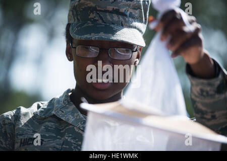 Navigant de première classe Markesha Hicks ressemble pour les moustiques à l'intérieur d'un piège à insectes sur Hurlburt Field Air Force Base, en Floride, des pièges sont installés tout autour de la base, mais surtout dans les régions avec de grandes quantités d'eau stagnante qui s'attirent. /Le s.. Andrew Lee Banque D'Images