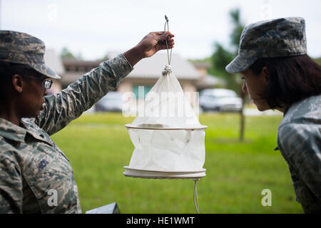 Le major Kristen Robertson et droit d'un membre de la 1re classe Markesha Hicks chercher des moustiques dans un piège près de sur-base hebergement à Hurlburt Field Air Force Base, en Floride, les membres du 1er Groupe médical des opérations spéciales de santé publique souvent vol des pièges autour de Hurlburt Field pour capturer les moustiques pour analyse. /Le s.. Andrew Lee Banque D'Images